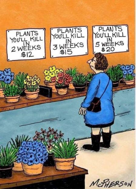 plant you kill.jpg